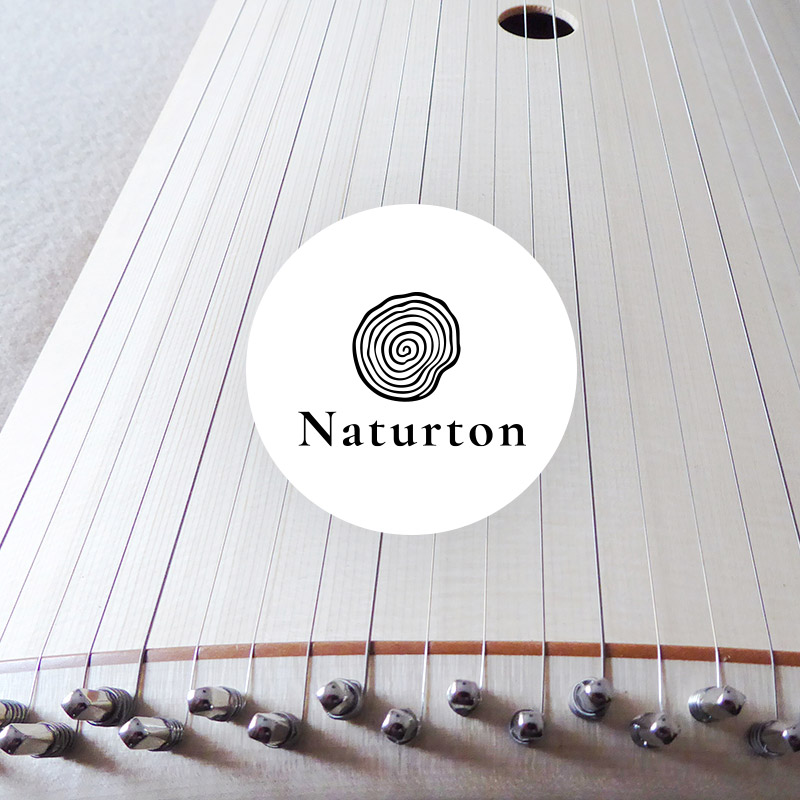 Naturton - Klangreisen und Naturerfahrung. Musiktherapie mit Ökosystemischem Ansatz.